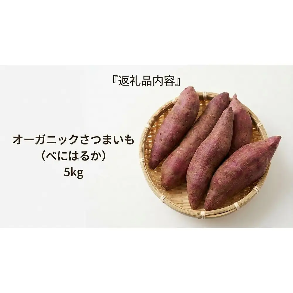 ＜ 先行予約 ＞ オーガニック さつまいも べにはるか 5kg サツマイモ 紅はるか いも イモ 芋 有機栽培 有機野菜 化学農薬不使用 化学肥料不使用 焼き芋 大学芋 北海道 安平町 安平