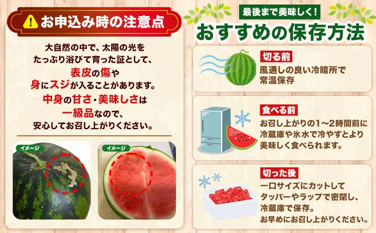 【先行予約】すいか 大玉 1玉 熊本 スイカ