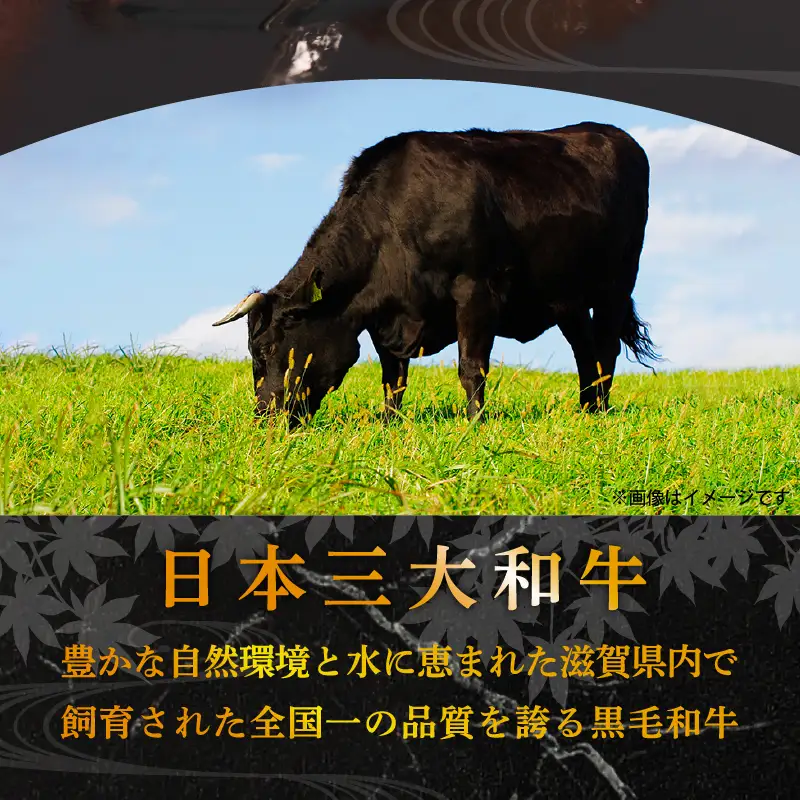 近江牛 フィレステーキ 100g 2枚 計 200g [RM102]