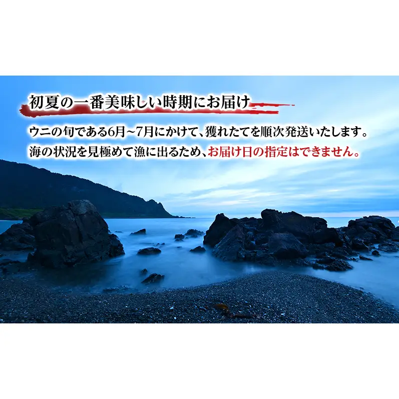 うに エゾバフンウニ 塩水パック ミョウバン不使用 オホーツク枝幸 うに【100g】