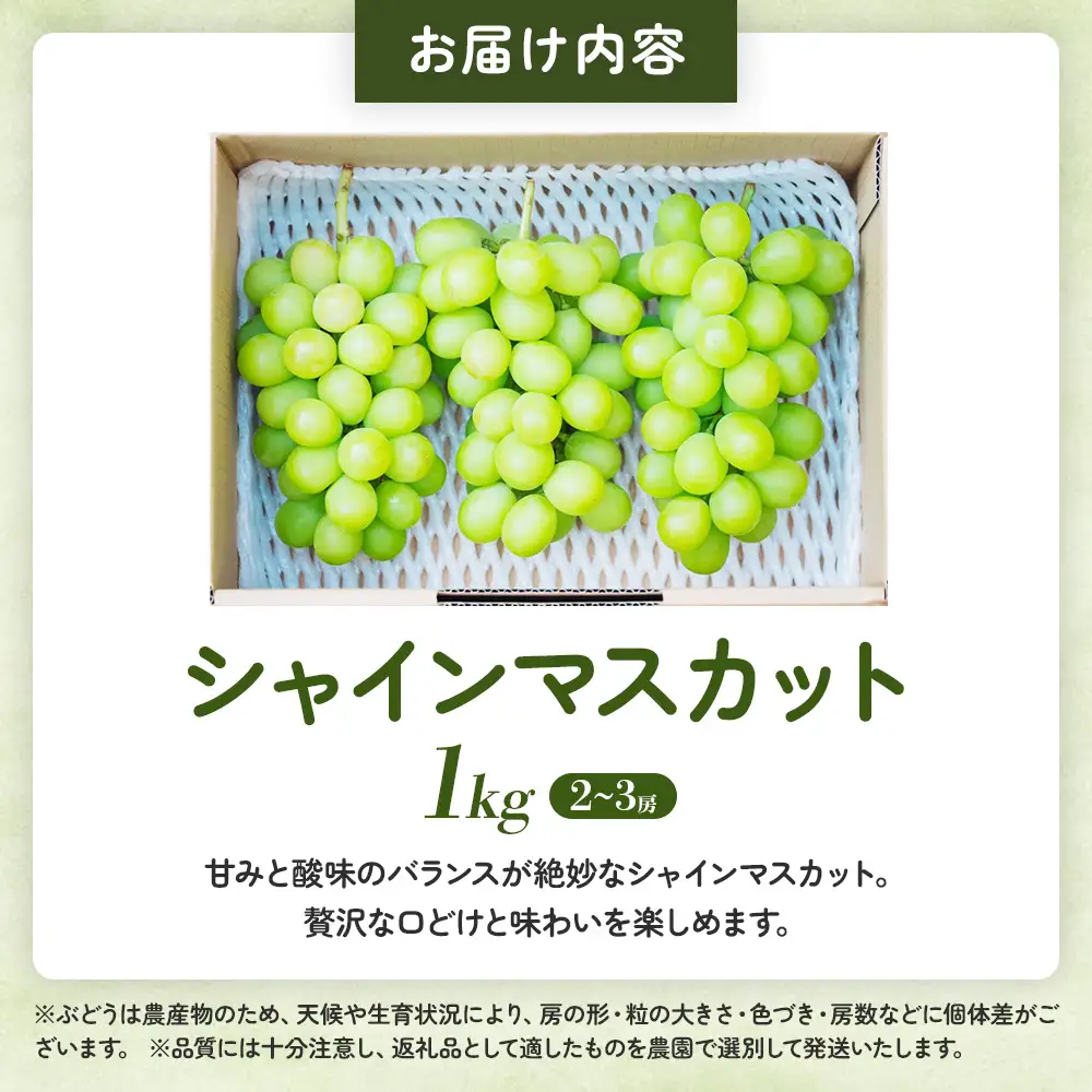 山梨県 甲斐市産 化学肥料不使用で育ったシャインマスカット1㎏