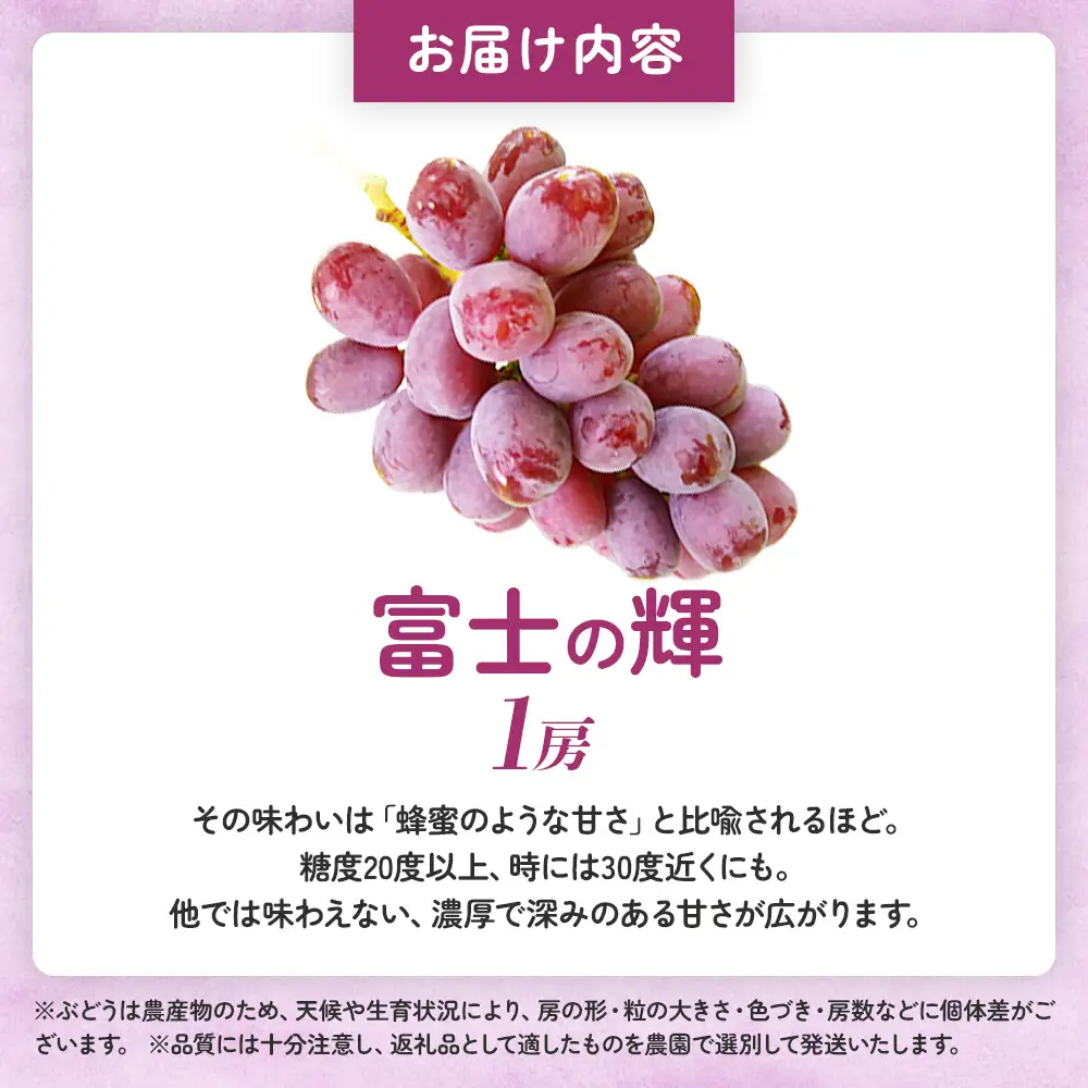 山梨県甲斐市産ぶどう 富士の輝 1房（500g以上） 山梨県産ぶどう