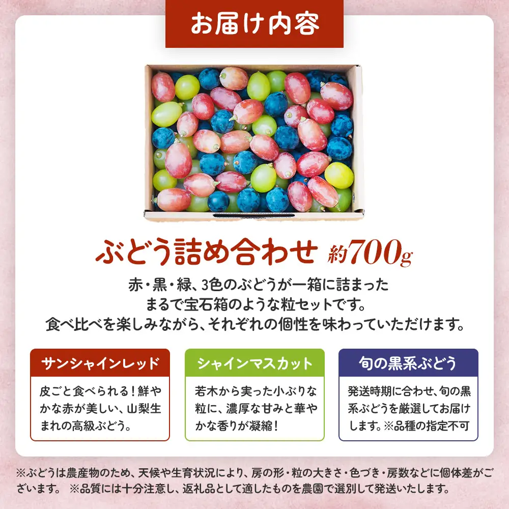 旬の彩り 粒ぶどう 詰め合わせ（約700g） 山梨県産ぶどう ぶどう