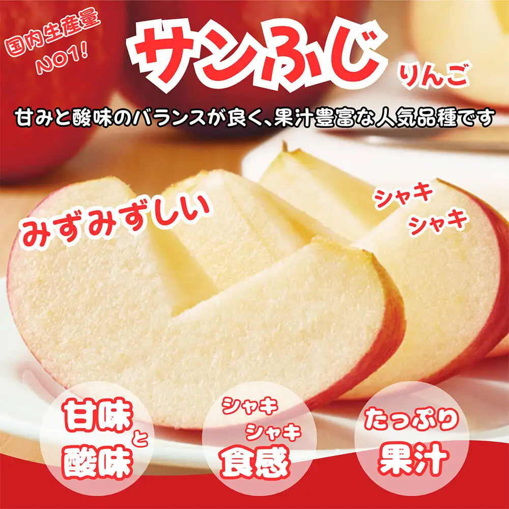 【26年12月発送】りんご サンふじ【訳あり】約10kg ふじりんご 青森県産 青森 果物 フルーツ 林檎 リンゴ くだもの 弘前市