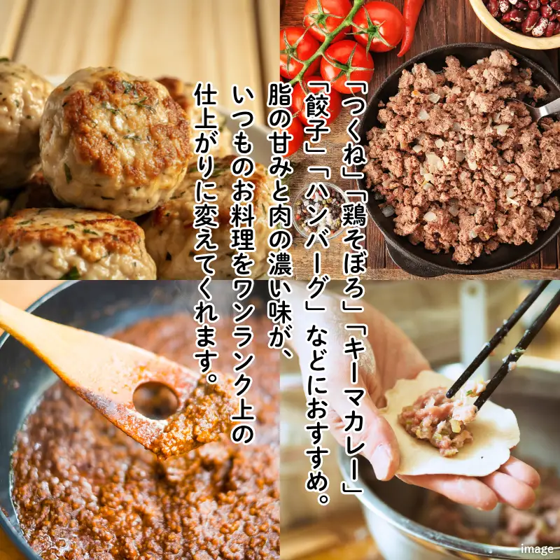 国産飼料で育てた親鶏ミンチ「名尾のめぐみ鶏」2.5kg（500g×5P） 鶏肉 親鶏 ミンチ ひき肉 冷凍：B285-008