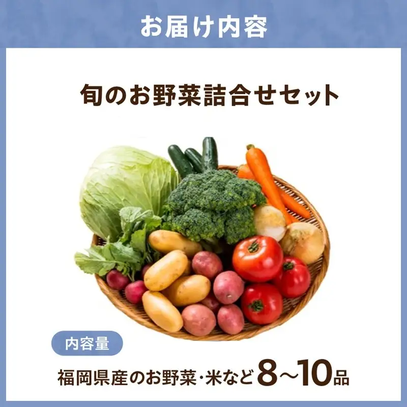 旬のお野菜詰合せセット【道の駅むなかた】_HA2050 野菜 新鮮 旬 サラダ 福岡県宗像市 宗像市 福岡 宗像