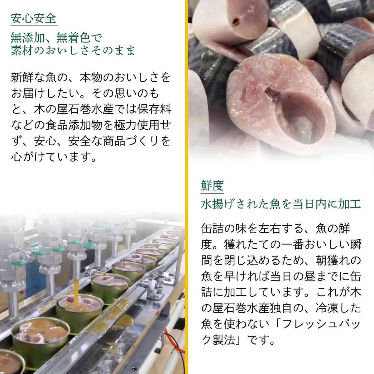 【木の屋】さば缶 缶詰 食べ比べセット 10缶 (2種 各5缶) 水煮 味噌煮 鯖 鯖 サバ 金華さば 金華 国産 常温 おかず おつまみ 長期保存 非常食 保存食 便利 常温保存
