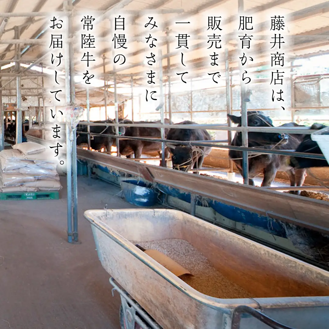 簡易包装・自宅用【常陸牛】赤身 霜降り すき焼き・しゃぶしゃぶ用850g　(霜降り400g & 赤身 450g) (茨城県共通返礼品) 肉 国産牛 和牛 お肉 しゃぶしゃぶ A4 A5 ブランド牛 黒毛和牛 国産黒毛和牛  [CD114sa]