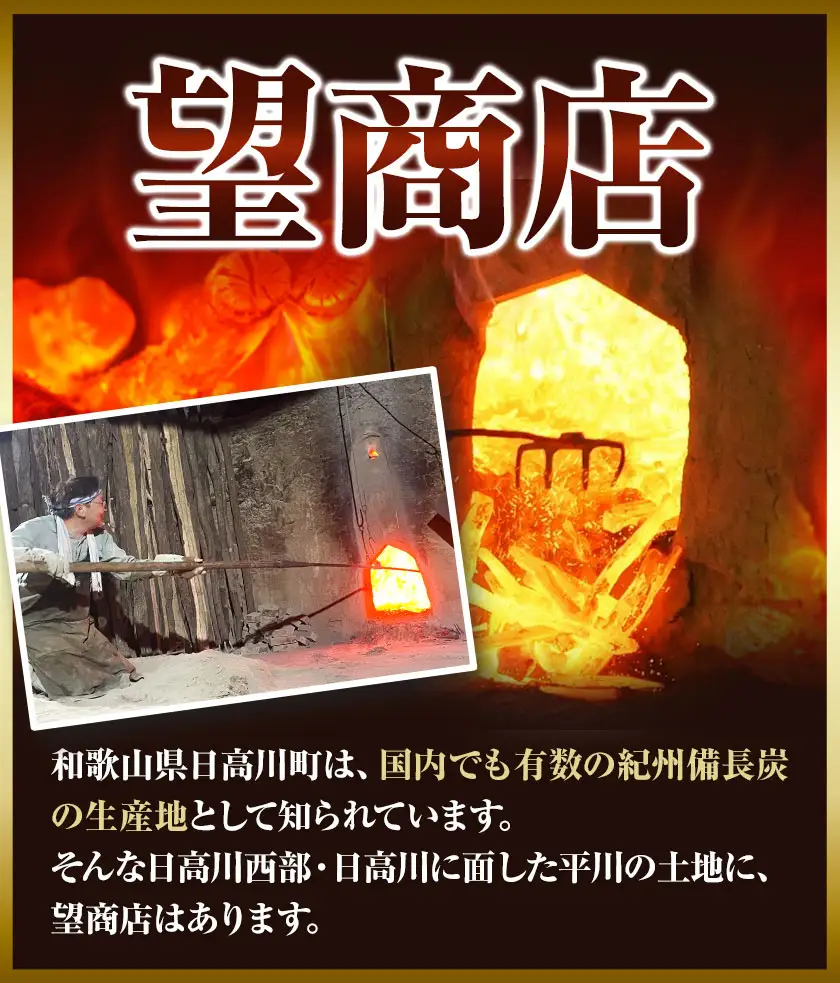【炊飯・飲料水用】紀州備長炭8本入り 望商店 炭