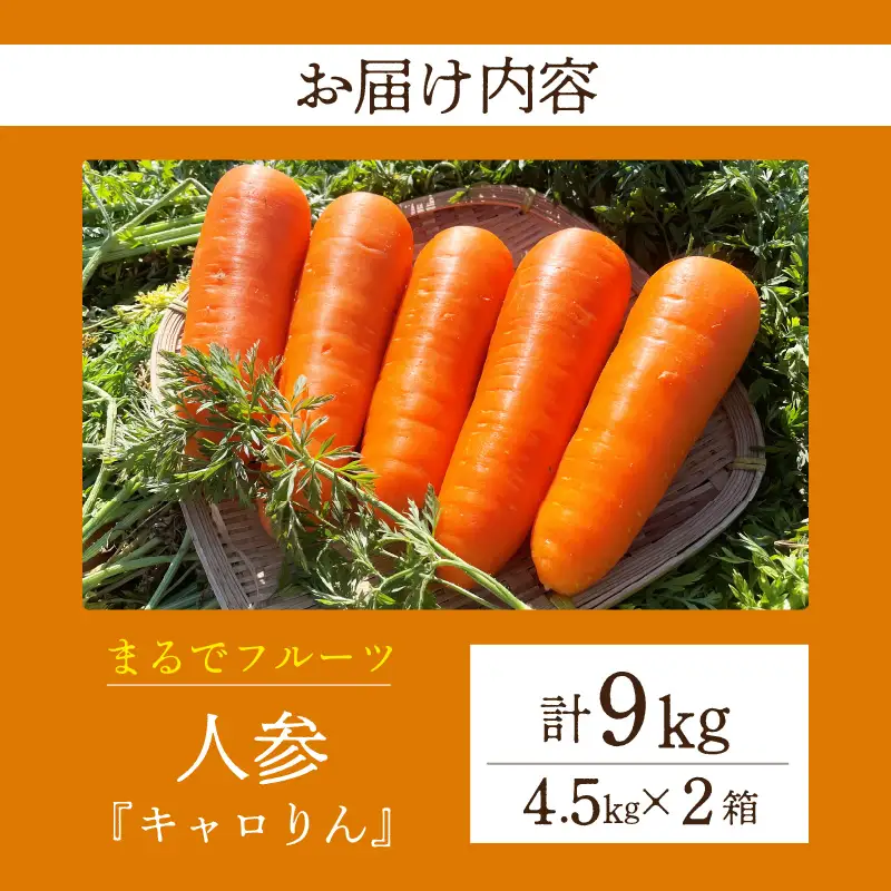 人参『キャロりん』（4.5kg×2箱）合計9kg・H109