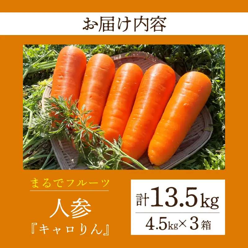 人参『キャロりん』（4.5kg×3箱）合計13.5kg・H110