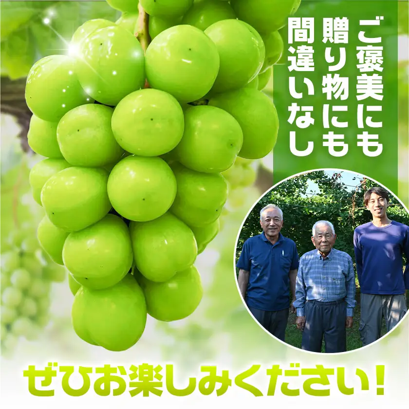 シャインマスカット 4kg じっちゃんのかじゅえん《8月上旬-9月下旬頃出荷》
