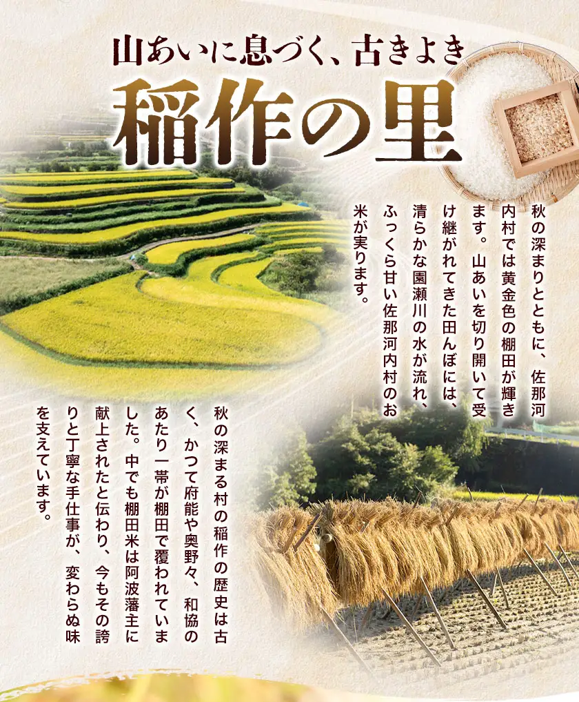 【先行予約】棚田米 無洗米 20kg 米