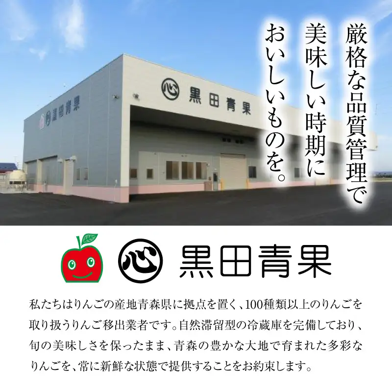 【10月後半以降順次発送】 りんご 約10kg 訳あり トキ 黄色い りんご 青森県産