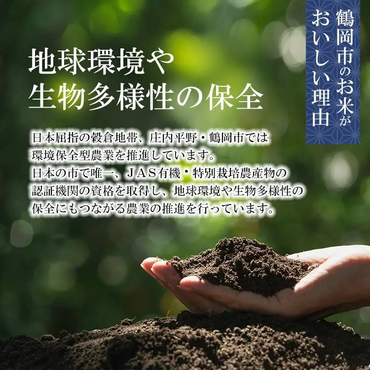【令和7年産】 特別栽培米 ひとめぼれ 精米 5kg (5kg×1袋)　山形県 庄内産 　| 5キロ 米 お米 コメ 白米 食品 ご飯 ごはん 美味しい おいしい ブランド米 庄内米 エコ包装 おすすめ 人気 山形県 鶴岡市 東北 国産 お取り寄せ SDGs未来都市鶴岡 返礼品