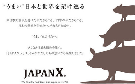 手作り粗挽きハンバーグ　＜蔵王町産豚肉「JAPAN X」使用＞　【04301-0168】