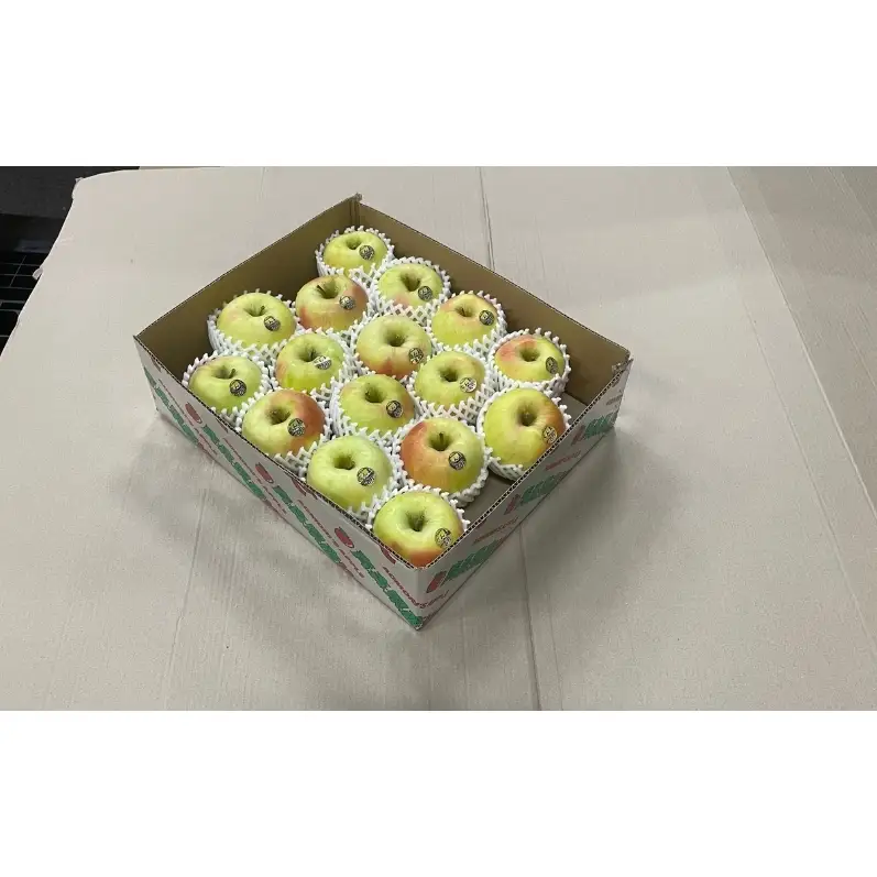 りんご ぐんま名月りんご 青森県産 贈答用ぐんま名月 りんご【約5kg】【2月発送】