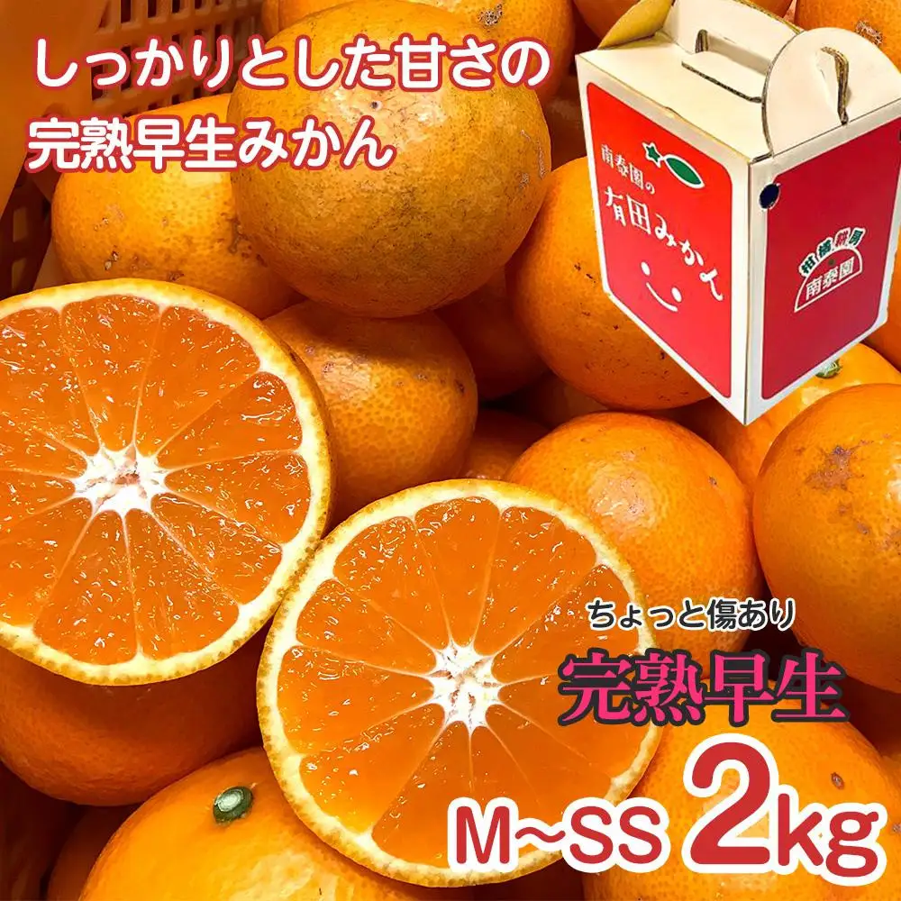 【 5年間 有田みかん 3種 食べくらべ ／ 全15回 】 ちょっと 傷あり 2kg × 3回 × 5年 コース 南泰園 みかん