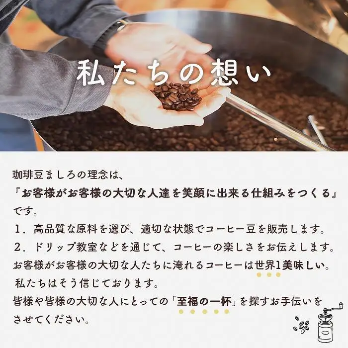【お中元ギフト】【向島の珈琲豆焙煎所】スペシャルティコーヒー詰め合わせ１