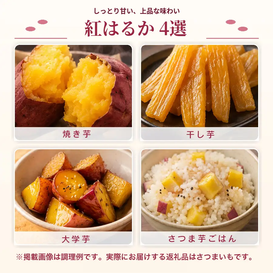 さつまいも 熟成 紅はるか 約10kg 国産 焼き芋 焼芋 やきいも しっとり 蜜芋 芋 おいも サツマイモ さつま芋 べにはるか スイーツ おやつ 産地直送 栽培期間中農薬不使用 高知県 大月町産
