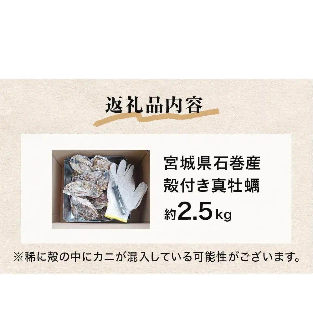 牡蠣 ガンガン焼き 2.5kg 宮城県産 加熱用 真牡蠣 かき カキ 蒸し牡蠣 貝 貝類 海産物 魚介類 海鮮 冷凍 宮城県 宮城 石巻市 石巻