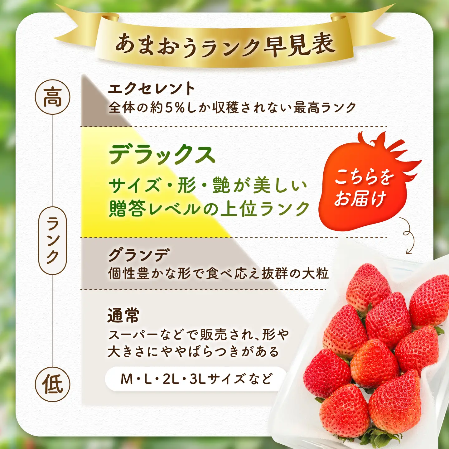 【4月発送】あまおうDX等級 1ケース（約270g×2パック） 広川町 / JAふくおか八女農産物直売所どろや[AFAB108]
