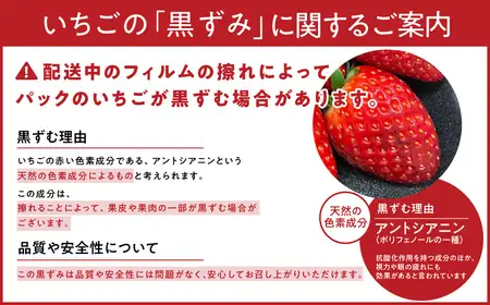 【2027年1月～発送予定】いちご 古都華 大粒 約270g×2パック drm003