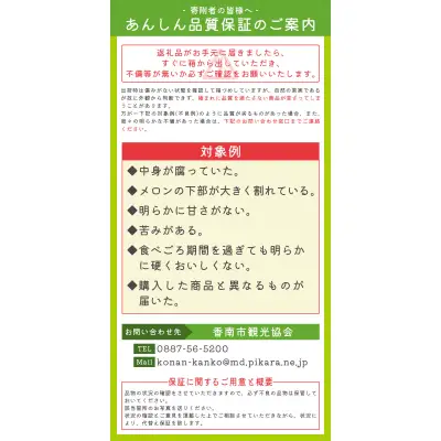 【先行予約】マスクメロン(家庭用) 2玉入 青肉品種 高級メロン！ ／ マスクメロン 果物 フルーツ 訳あり 産地直送 tn-0063