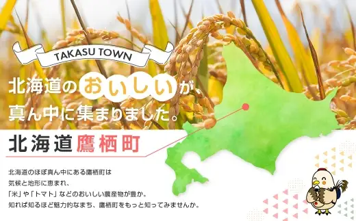 【令和7年産】一等米・特別栽培米 4kg【ゆめぴりか玄米】2kg×2（農薬7割減）北海道 鷹栖町 原崎農園
