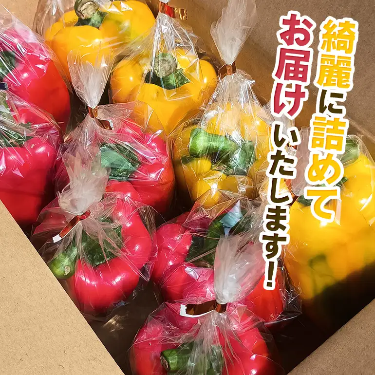 完熟国産パプリカ　赤・黄2色セット 2㎏ 熊岡農園 茨城 茨城県 石岡市 (A47-001)