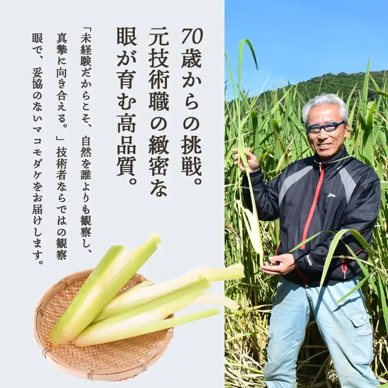 マコモダケ 1kg | 栽培期間中農薬不使用