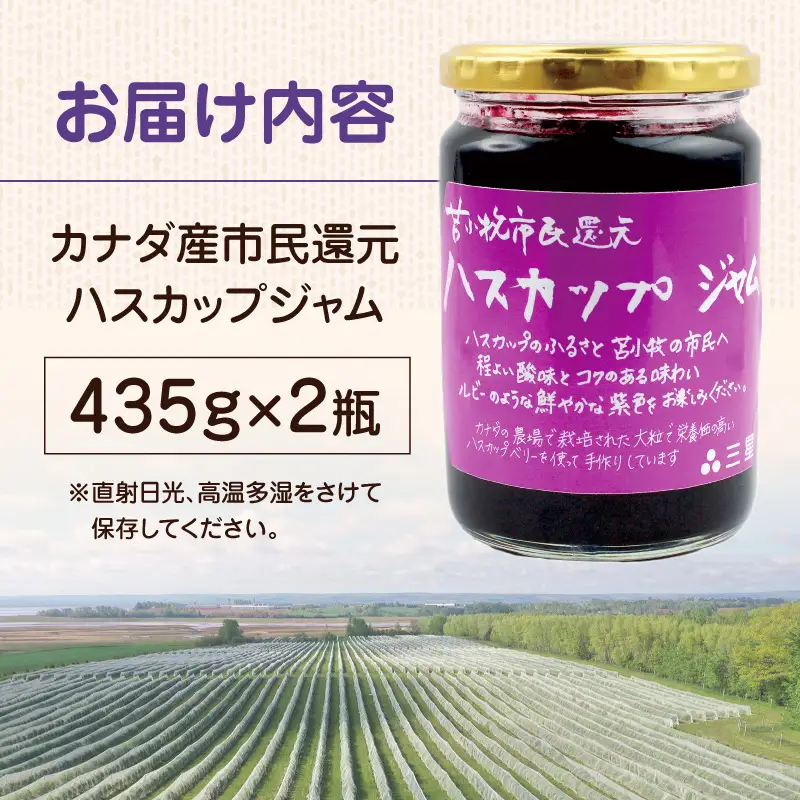 カナダ産 苫小牧市民還元 ハスカップジャム 435g（2瓶） T044-017-02 果物 加工品
