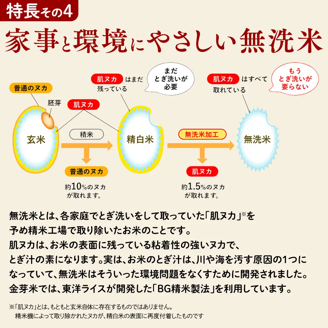 【 金芽米 ( 無洗米 ) 】 ＜9月下期出荷＞ つくばみらい市産 コシヒカリ 5kg × 2袋 ( 計 10kg )