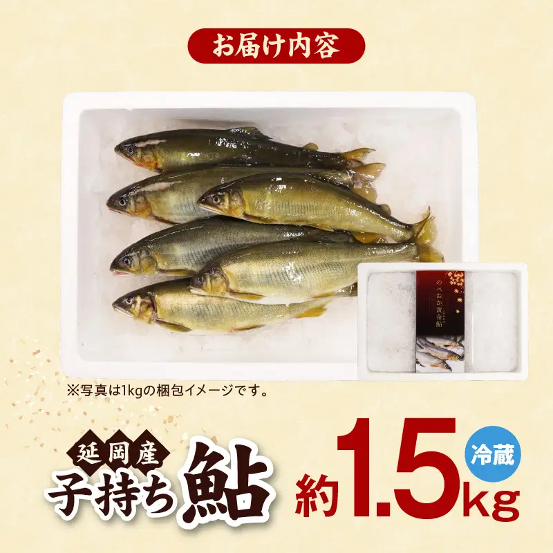 【先行予約】2026年10月下旬より発送開始【冷蔵】子持ち鮎約1.5kg N070-YB1106-1