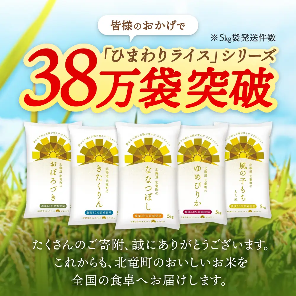 【令和8年産】 人気の無洗米セット 10kg（5kg×2種）/ゆめぴりか ななつぼし 北海道米【uni400-set-yumem5-nanam5-R8】 