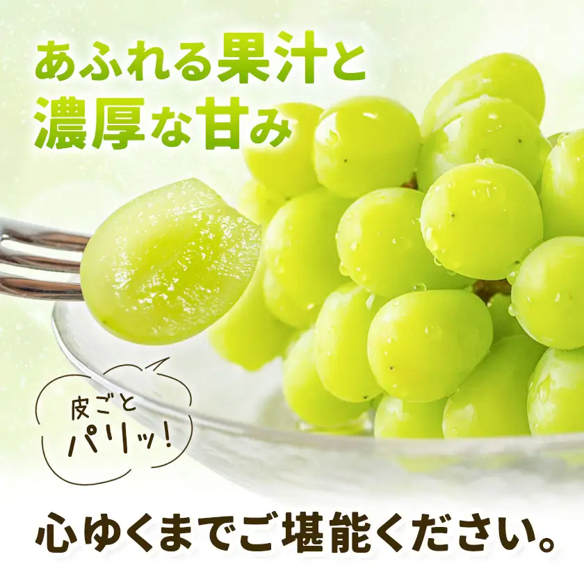 シャインマスカット 800g 株式会社エフビーネット《8月中旬-9月上旬頃出荷》熊本県 菊池市 ぶどう ブドウ マスカット 果物 フルーツ デザート ギフト ご贈答 熊本県産