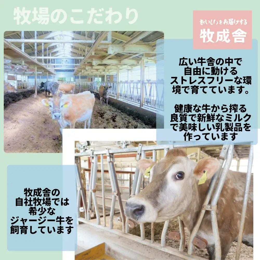 【毎週定期便 牛乳 6本×4回】 毎週 回数選べる 1ヶ月 飛騨産生乳100％ 牧成舎 美味しい低温殺菌牛乳 乳製品 飛騨 お楽しみ