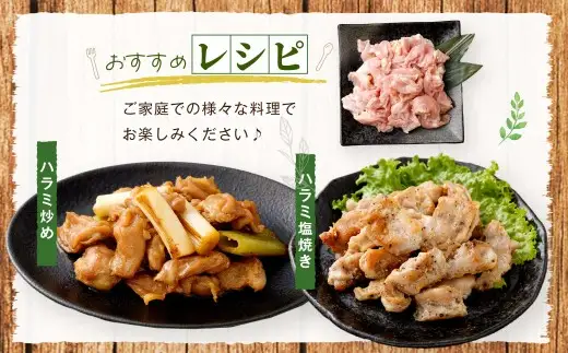 鹿児島県産 若鶏 ハラミ 約3kg セット 鶏ハラミ 鶏肉 鶏 冷凍 AS-895