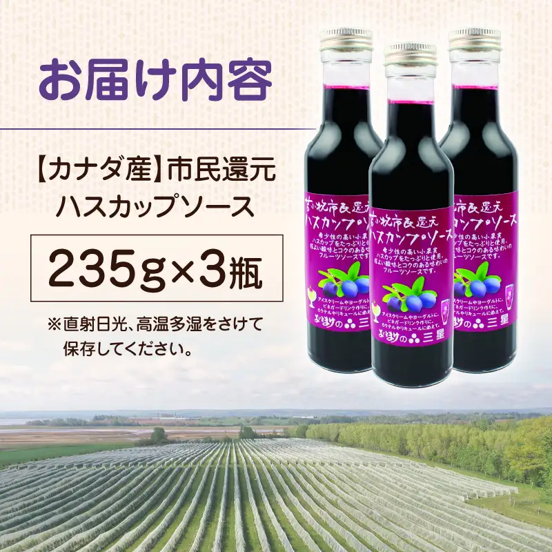 カナダ産 市民還元 ハスカップソース 235g（ 3瓶 ） T044-018 フルーツソース 甘い