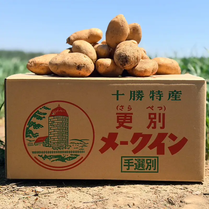 北海道十勝・更別村産 じゃがいも（メークイン）10キロ 芋 ジャガイモ 新鮮野菜 やさい 10kg F21P-1571