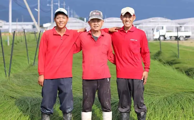 い草 畳 マット 畑野さんの匠シリーズ寝ござリング ホワイト