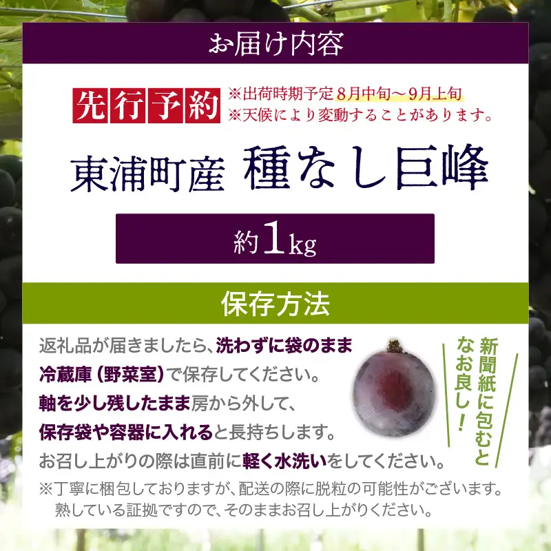 【先行予約】【2026年8月発送】東浦町産 種なし巨峰（約1kg）