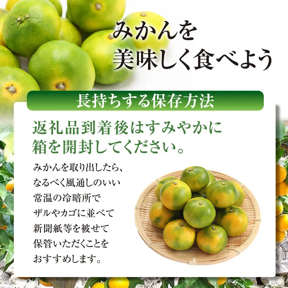 有田みかん専門店 有田の太陽®ファミリー 極早生 有田みかん 9.5kg＋補償分100g 山採れ・サイズ・等級 混合