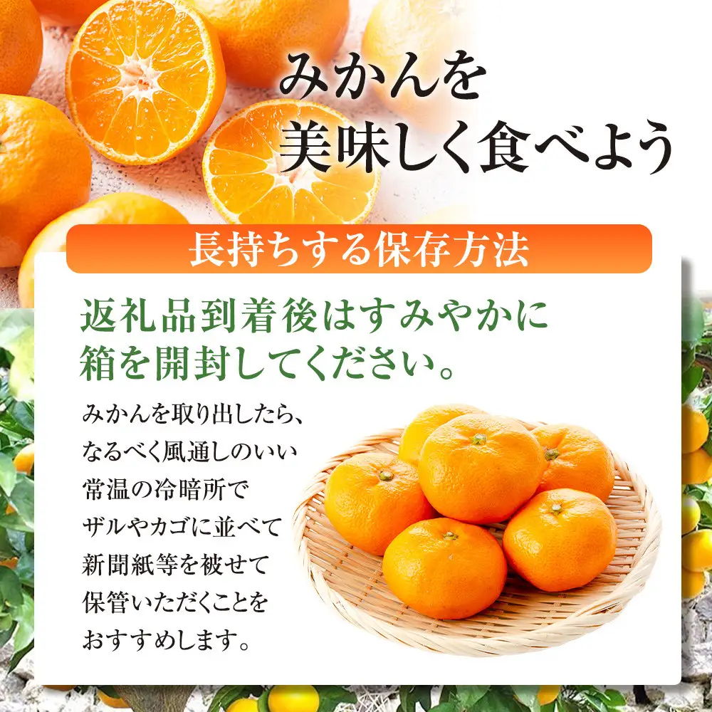 有田みかん専門店 有田の太陽®ファミリー 早生または晩生 有田みかん 9.5kg＋補償分100g 山採れ・サイズ・等級 混合