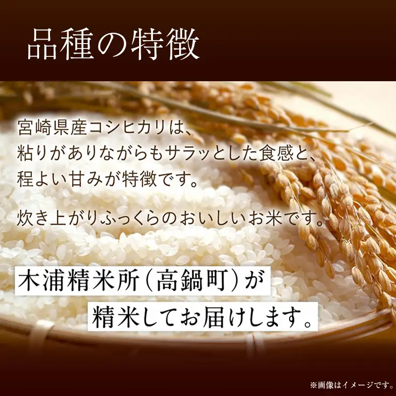 【無洗米】 ＜チャック付＞  新米 国産 令和8年産 コシヒカリ 宮崎県産（10kg） 
