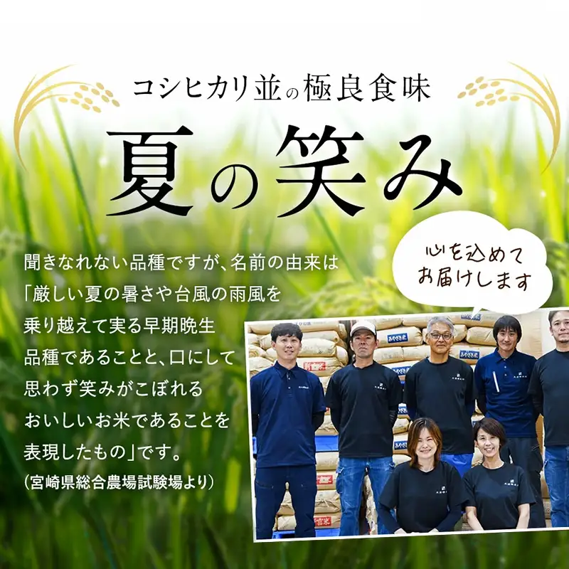 【3か月定期便】 無洗米 ＜チャック付＞ 新米 国産 令和8年産 夏の笑み 宮崎県産（10kg×3回）