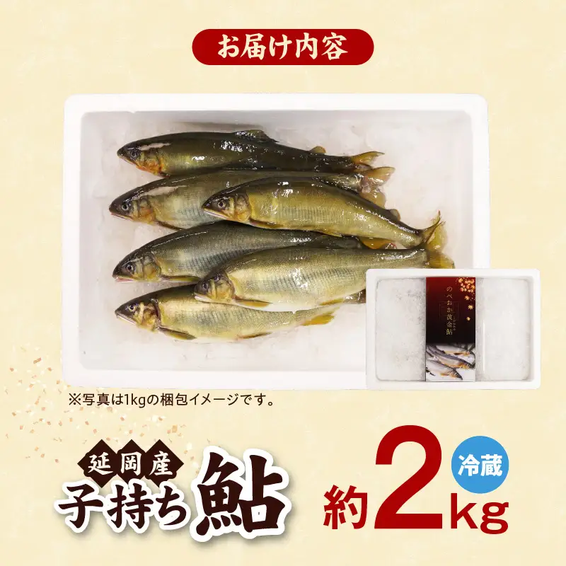【先行予約】2026年10月下旬より発送開始【冷蔵】子持ち鮎約2kg N070-YB728-1