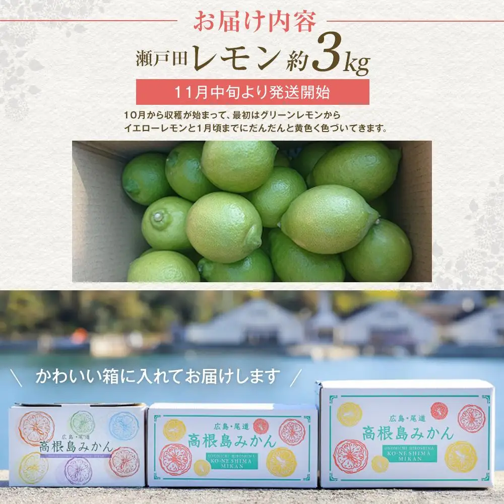 【先行予約】瀬戸田レモン3kg ＜2026年11月上旬より発送開始＞