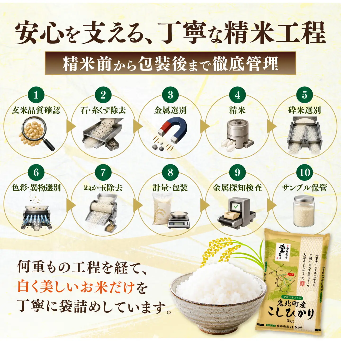 【先行予約】【令和8年産】鬼北町産 こしひかり 10kg（5kg×2袋） 【米屋仕上げ】| R8年産 新米 精米 白米 ご飯 米 コシヒカリ お米のまつや 株式会社ドイ 愛媛県鬼北町