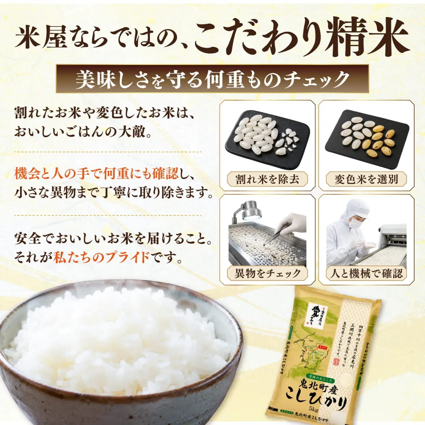【先行予約】【令和8年産】鬼北町産 中平ファーム こしひかり 10kg （5kg×2袋）【米屋仕上げ】| R8年産 新米 精米 白米 ご飯 米 コシヒカリ お米のまつや 株式会社ドイ 愛媛県鬼北町